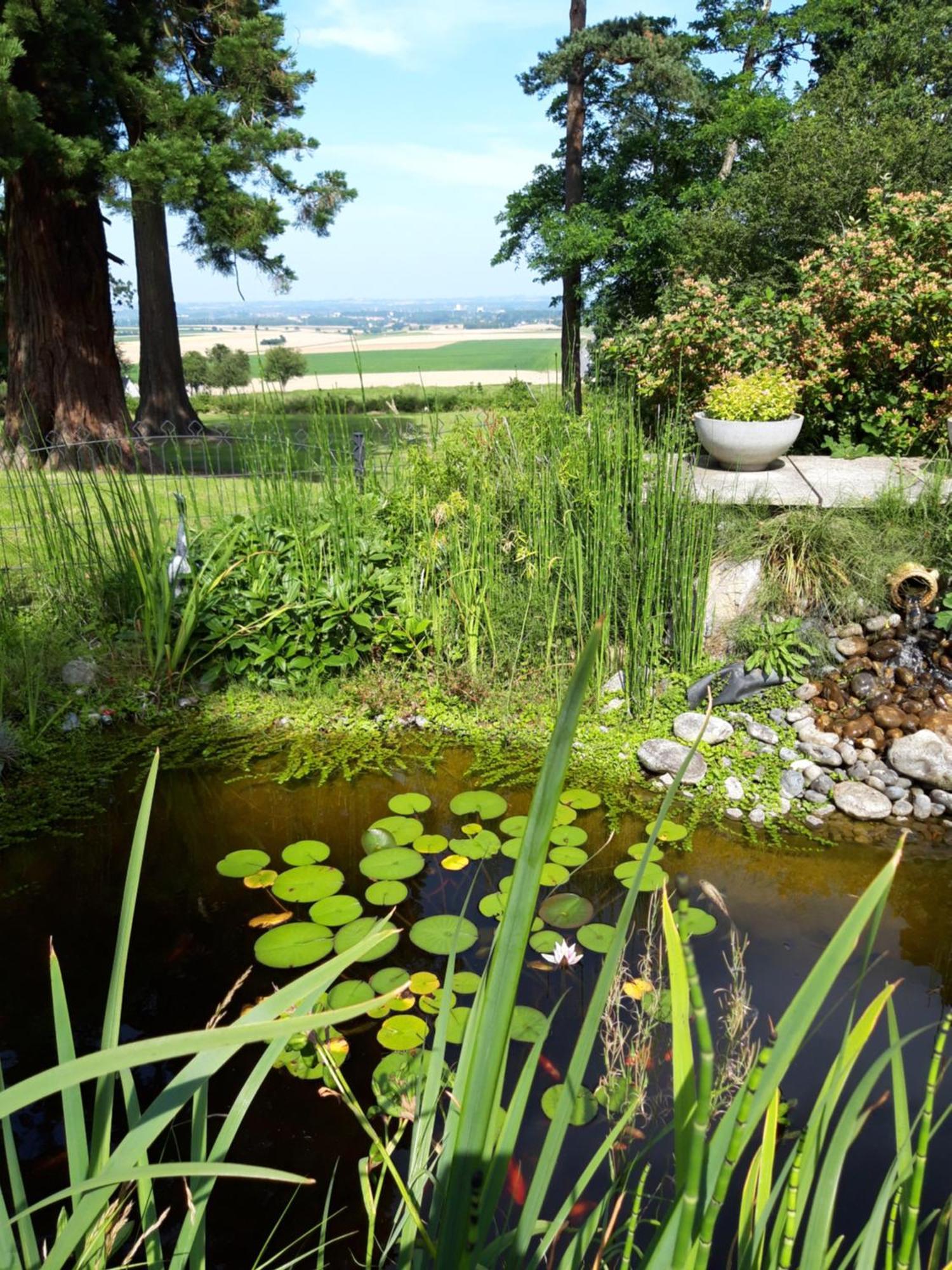 Logis - Hotel Restaurant La Sapiniere Wisques Luaran gambar